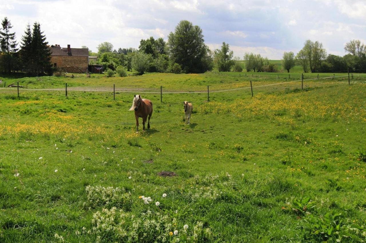 Vacation Home, Zahrensdorf Exteriör bild